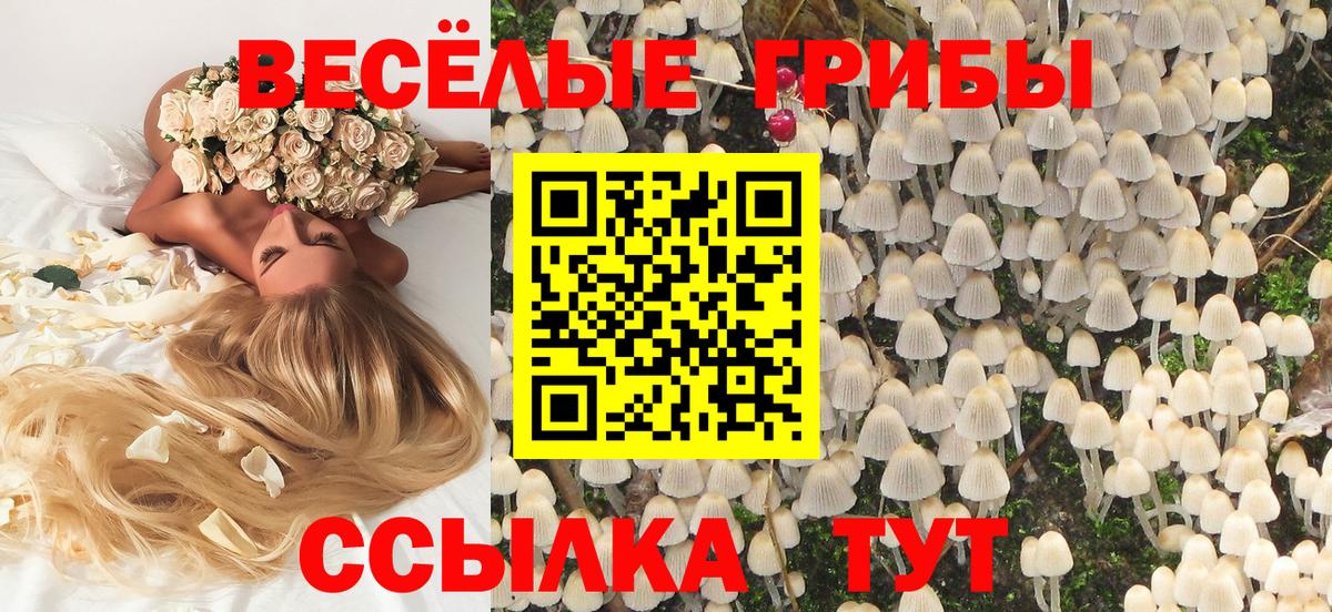 цена наркотик  Галлюциногенные грибы GOLDEN TEACHER  Вход с VPN  Отрадный 